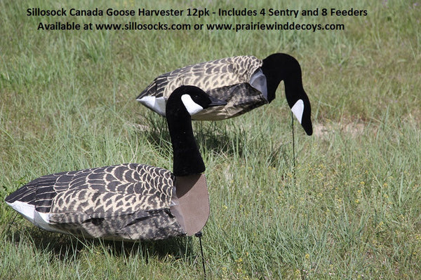 Sillosock canada 2024 goose decoys review